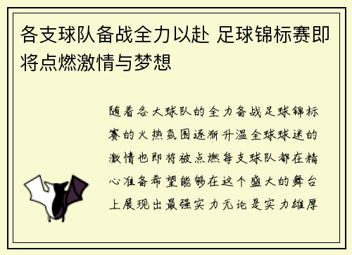 各支球队备战全力以赴 足球锦标赛即将点燃激情与梦想