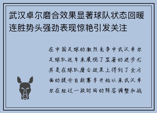 武汉卓尔磨合效果显著球队状态回暖连胜势头强劲表现惊艳引发关注