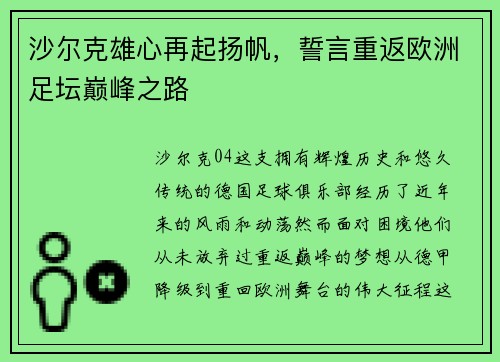 沙尔克雄心再起扬帆，誓言重返欧洲足坛巅峰之路